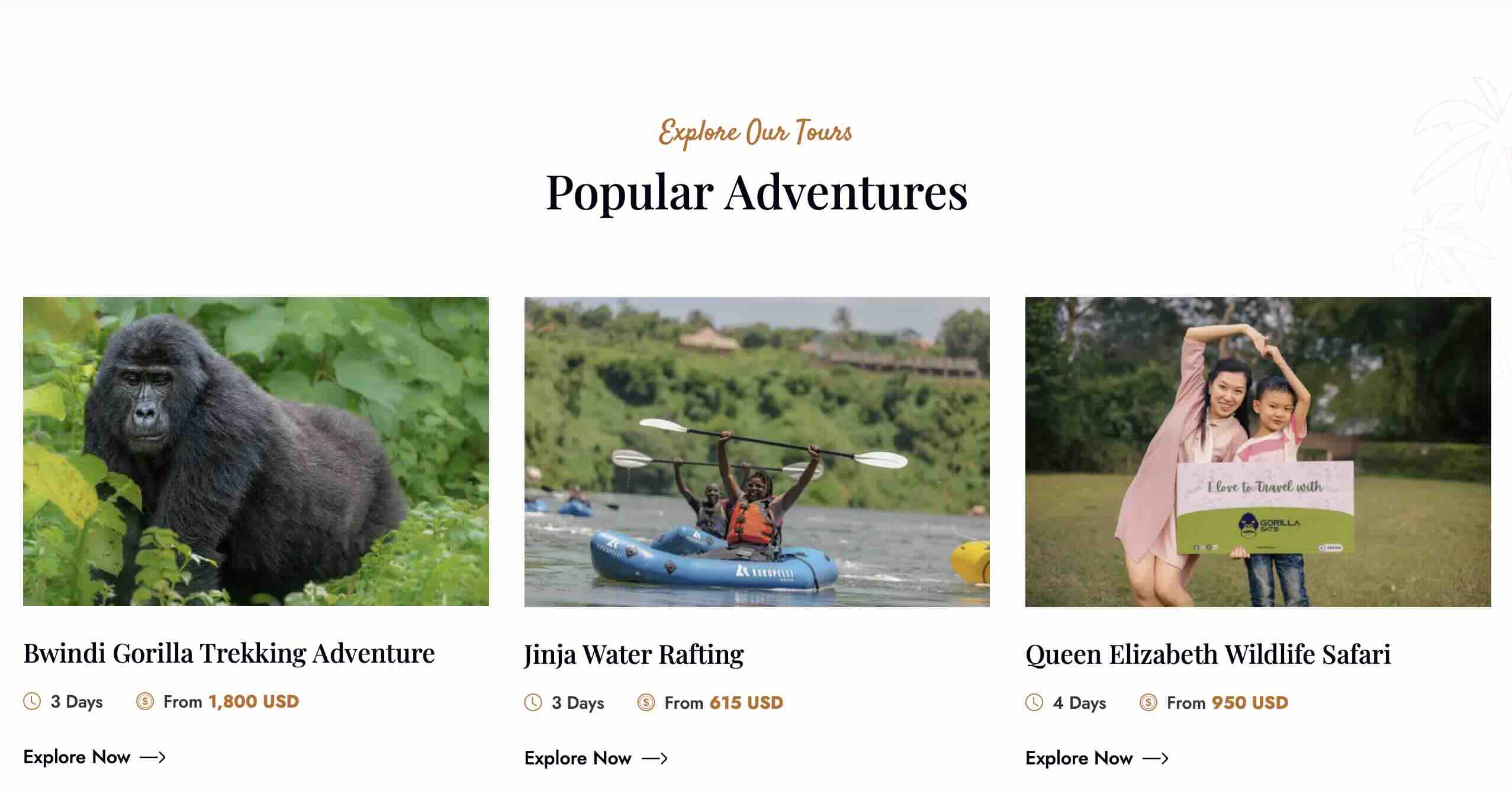 Gorilla Sats - Travel in Uganda 